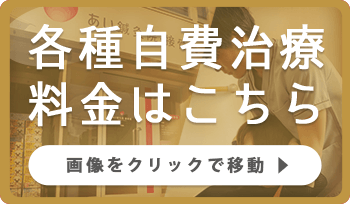 各種自費治療料金